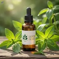 Basil Essential Oil (Ocimum basilicum)