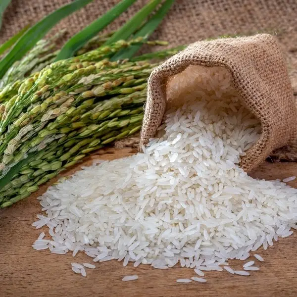 1121 Raw Rice
