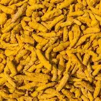 Export Grade Naturally Grown Turmeric Fingers