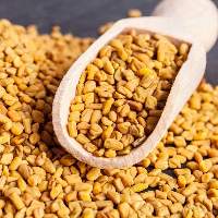 Premium Grade Whole Fenugreek Seeds (Methi Dana)