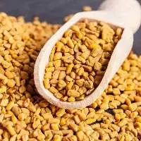 Premium Grade Whole Fenugreek Seeds (Methi Dana)