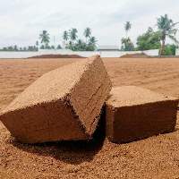 Coir Pith
