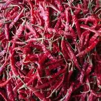 Dry Red Chilli
