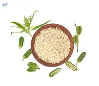 Premium White Sesame Seeds Export Quality 