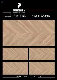 600x1200 Matt Finish Premium Vitrified Tiles