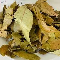 Diplopterys cabrerana Leaves Chaliponga