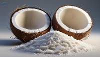 Desiccated Coconut Powder