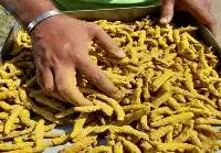 Turmeric Powder