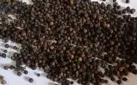 Black Pepper