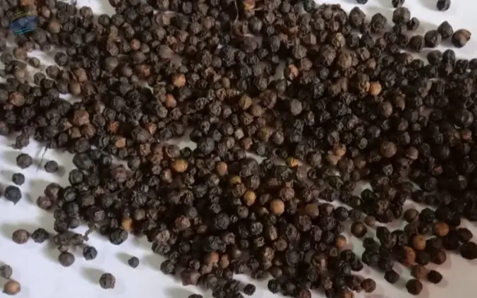 Black Pepper