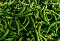 Fresh Vegetables