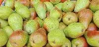 Fresh Fruits