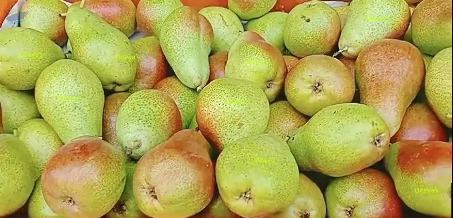 Fresh Fruits