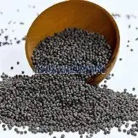 Black Mustard Seeds