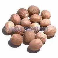 Dried Whole Nutmeg