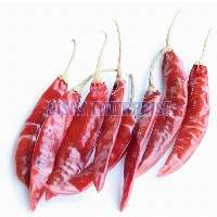 Dry Red Chilli