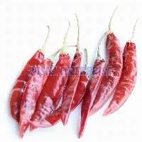Dry Red Chilli