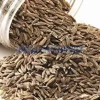 Organic Cumin Seeds