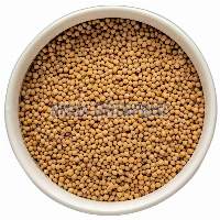 Yellow Mustard Seeds