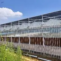 Polycarbonate Greenhouse