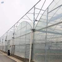 Multi-span Plastic Greenhouse
