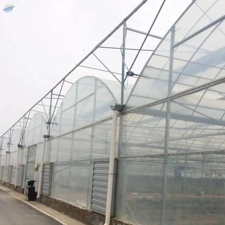 Multi-span Plastic Greenhouse