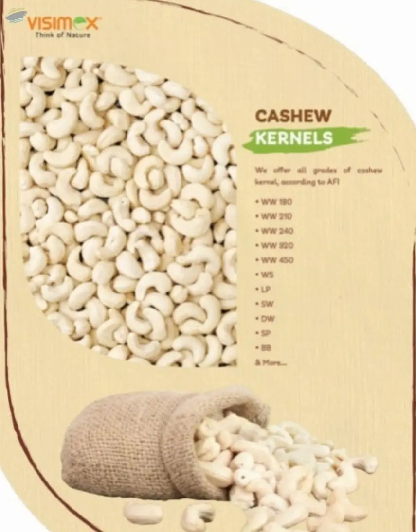 Premium Cashew Kernels (W320, W240)