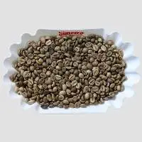 Premium Robusta (Grade 1  S16)
