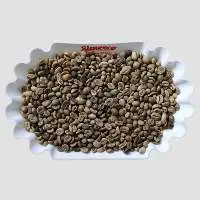 Premium Robusta (Grade 1 S18)