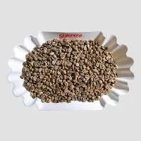 Premium Robusta (Grade 2 S13)