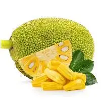 Dried Jackfruit