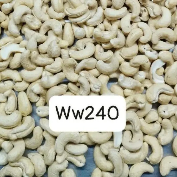 WW240 Raw Cashews