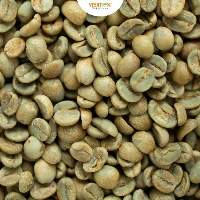 Wet Polished Robusta Screen 18
