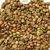 Robusta S16 Standard
