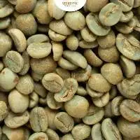 Robusta S18 Standard