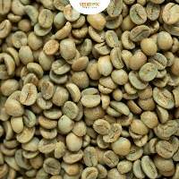 Robusta S18 Wet Polished