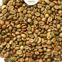 Robusta S16 Clean