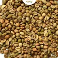 Robusta S16 Clean