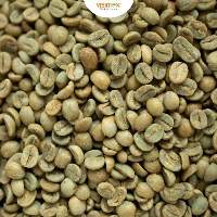 Robusta S16 Wet Polished