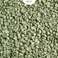 Robusta S13