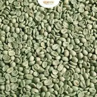 Robusta S13