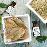 Bay Leaf Oil