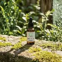 Birch Tar Oil