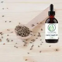 Carrot Seed Oil