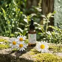 Chamomile Oil
