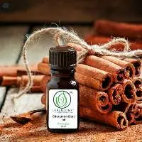 Cinnamon Bark Oil