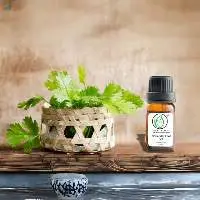 Coriander Leaf Oil