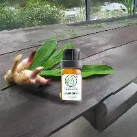 Galangal Oil