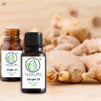 Ginger Oil