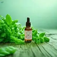 Holy Basil Oil